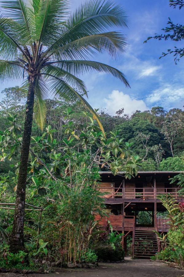 The Pelican House Hostel El Valle  Exterior photo